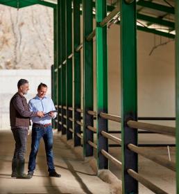 Two men stand in a warehouse talk together looking at a tablet computer